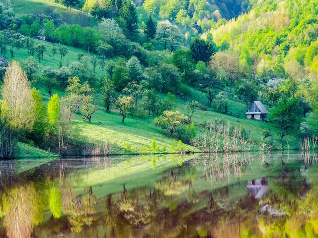 Обои деревья, озеро, отражение, склон, гора, дома, весна, trees, lake, reflection, slope, mountain, home, spring разрешение 1920x1200 Загрузить