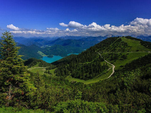 Обои леса, германия, bavarian alps, баварские альпы, озеро., forest, germany, the bavarian alps, the lake. разрешение 1920x1200 Загрузить