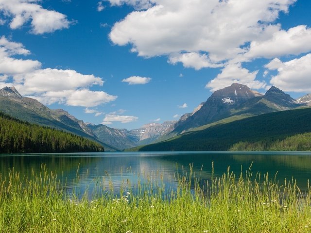 Обои монтана, bowman lake, национальный парк глейшер, montana, glacier national park разрешение 1920x1200 Загрузить