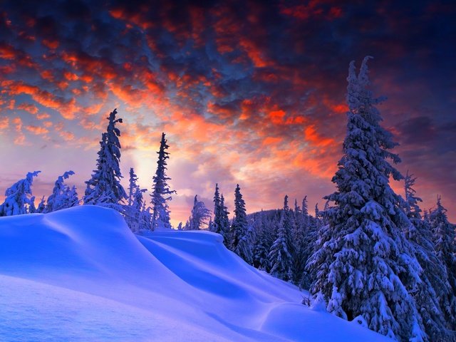 Обои снег, зима, ель, сугробы, зимний вечер, snow, winter, spruce, the snow, winter evening разрешение 7776x4947 Загрузить