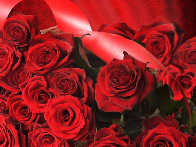 Обои цветы, розы, качественные, flowers, roses, quality разрешение 2560x1600 Загрузить