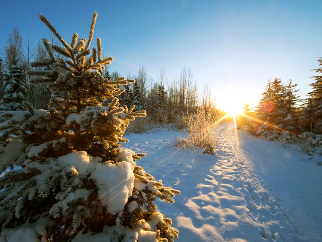 Обои дорога, деревья, снег, закат, зима, пейзаж, солнечные лучи, road, trees, snow, sunset, winter, landscape, the sun's rays разрешение 5184x3456 Загрузить