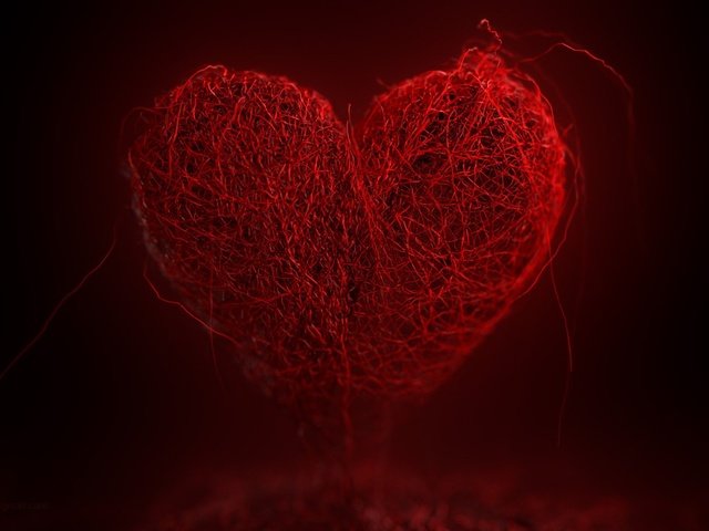 Обои фон, сердечко, сердце, темный фон, нити, красное сердце, background, heart, the dark background, thread, red heart разрешение 1920x1200 Загрузить