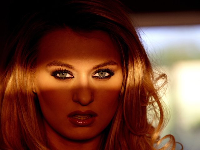 Обои свет, девушка, блондинка, взгляд, тень, модель, лицо, natalia starr, light, girl, blonde, look, shadow, model, face разрешение 5616x3744 Загрузить