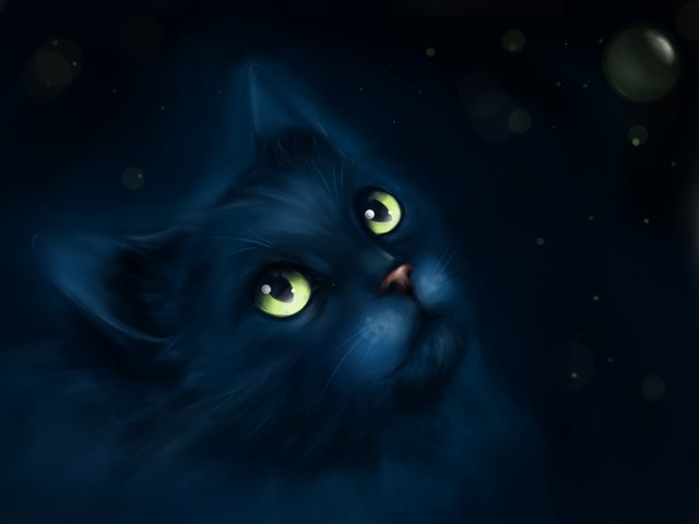 Обои арт, рисунок, мордочка, усы, взгляд, живопись, черный кот, art, figure, muzzle, mustache, look, painting, black cat разрешение 2560x1920 Загрузить