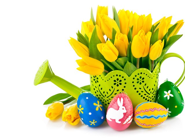Обои тюльпаны, белый фон, пасха, яйца, праздник, лейка, tulips, white background, easter, eggs, holiday, lake разрешение 5402x3674 Загрузить