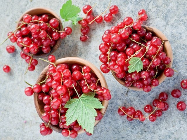 Обои ягода, красная, смородина, миски, berry, red, currants, bowls разрешение 2000x1377 Загрузить