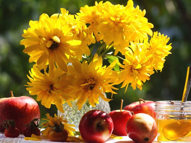 Обои яблоки, шиповник, букет, мед, apples, briar, bouquet, honey разрешение 1920x1255 Загрузить