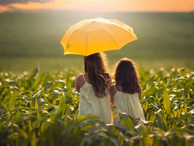 Обои поле, девочки, зонтик, field, girls, umbrella разрешение 2048x1494 Загрузить