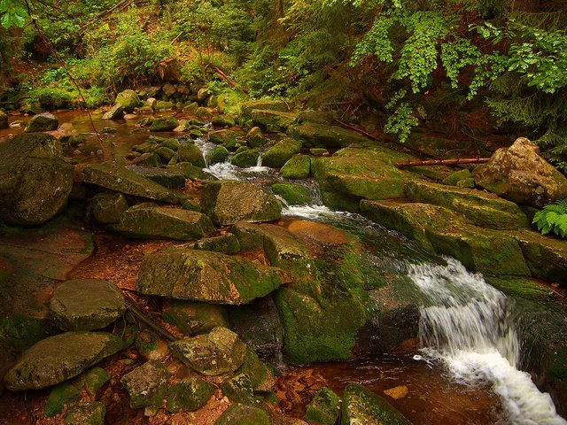 Обои камни, ручей, водопад, поток, мох, природа.вода, stones, stream, waterfall, moss, nature.water разрешение 1920x1200 Загрузить
