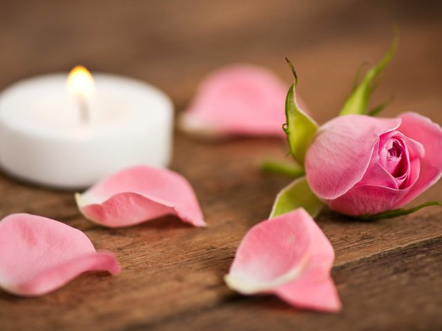 Обои роза, лепестки, свечка, rose, petals, candle разрешение 1920x1200 Загрузить