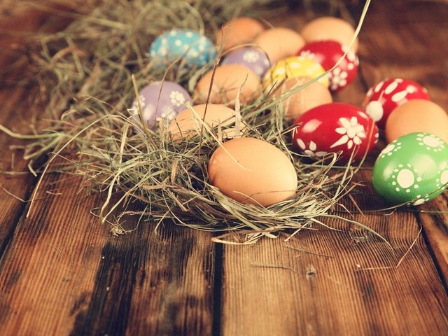Обои сено, пасха, яйца, праздник, hay, easter, eggs, holiday разрешение 7000x4667 Загрузить