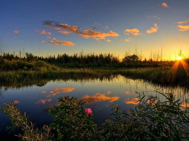 Обои небо, озеро, закат, отражение, лето, the sky, lake, sunset, reflection, summer разрешение 1920x1200 Загрузить