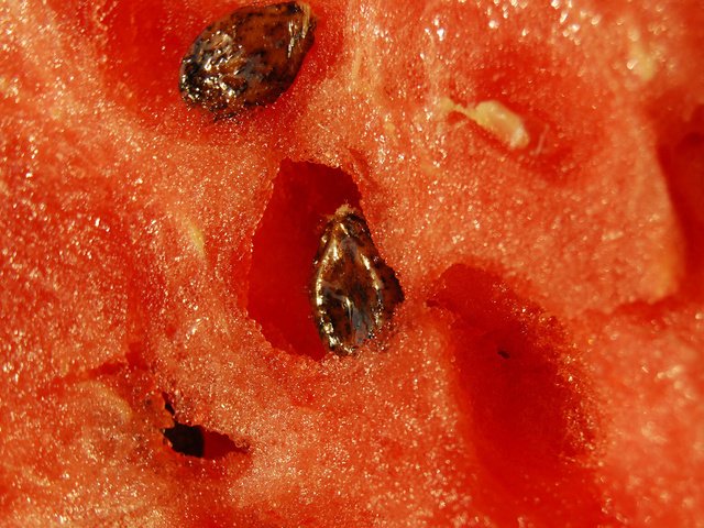Обои макро, арбуз, семечки, мякоть, сочный, macro, watermelon, seeds, the flesh, juicy разрешение 1920x1200 Загрузить