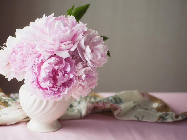 Обои цветы, розовые, ваза, пионы, flowers, pink, vase, peonies разрешение 2048x1463 Загрузить