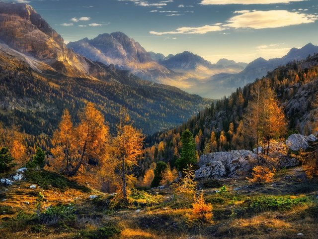 Обои деревья, горы, природа, лес, пейзаж, осень, trees, mountains, nature, forest, landscape, autumn разрешение 2000x1335 Загрузить