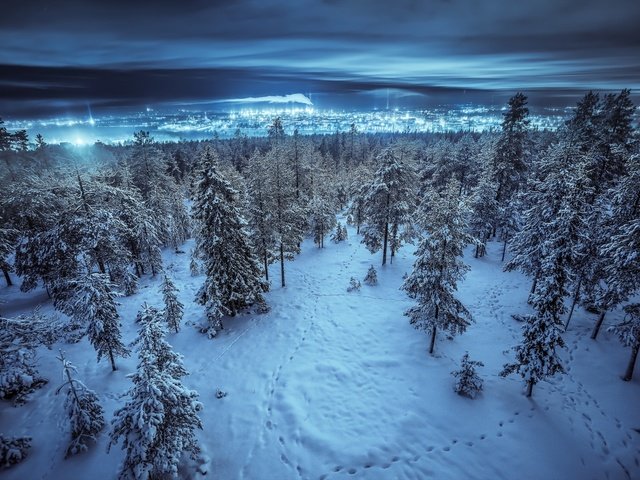 Обои ночь, деревья, снег, лес, зима, пейзаж, город, night, trees, snow, forest, winter, landscape, the city разрешение 2048x1322 Загрузить