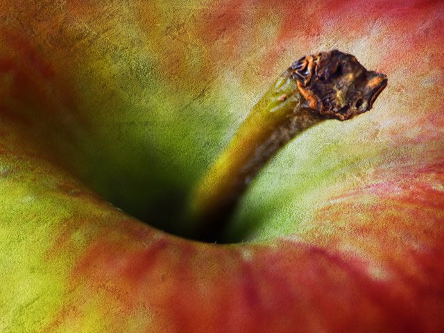 Обои макро, фрукты, плод, яблоко, хвостик, macro, fruit, the fruit, apple, ponytail разрешение 2048x1356 Загрузить