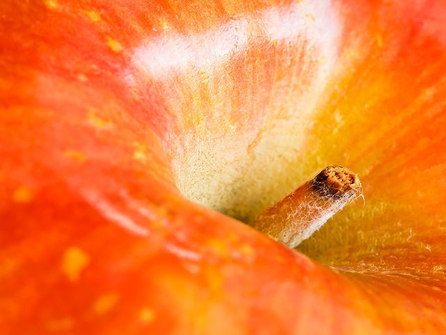 Обои макро, фрукты, плод, яблоко, красное, хвостик, macro, fruit, the fruit, apple, red, ponytail разрешение 1920x1200 Загрузить