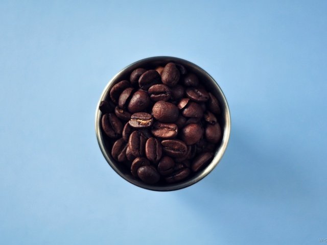 Обои фон, синий, зерна, кофе, минимализм, кофейные, background, blue, grain, coffee, minimalism разрешение 1920x1275 Загрузить