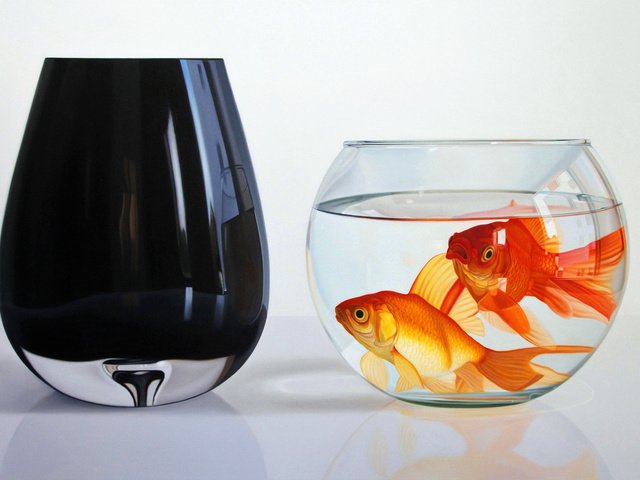 Обои рыбы, стекло, аквариум, золотые рыбки, cтекло, fish, glass, aquarium, goldfish разрешение 5411x3440 Загрузить