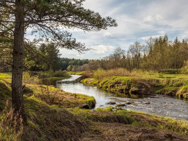 Обои река, природа, лес, river, nature, forest разрешение 1920x1200 Загрузить