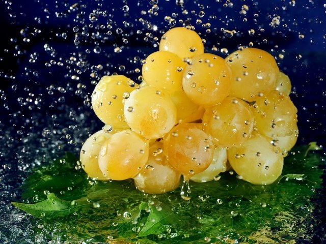 Обои вода, виноград, капли, ягода, лист, гроздь, water, grapes, drops, berry, sheet, bunch разрешение 1920x1253 Загрузить