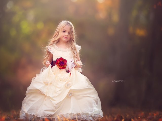 Обои природа, платье, роза, дети, девочка, nature, dress, rose, children, girl разрешение 1920x1200 Загрузить