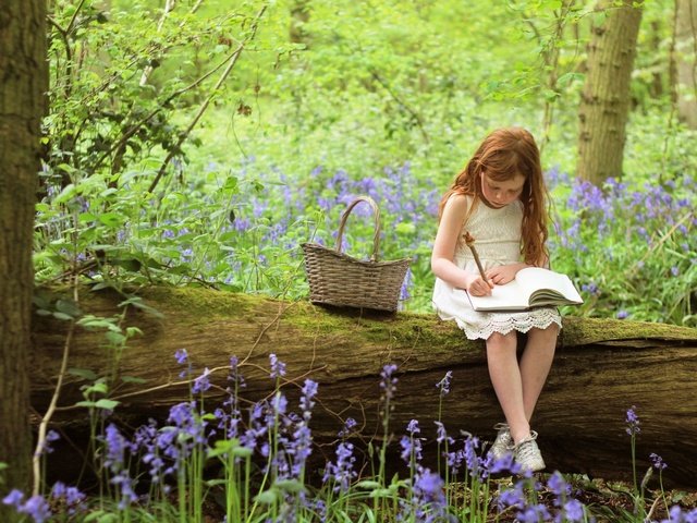 Обои лес, девочка, корзина, тетрадь, forest, girl, basket, notebook разрешение 1925x1283 Загрузить