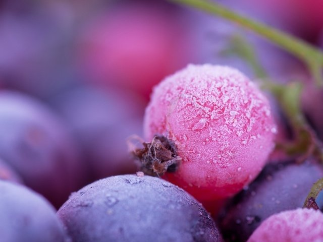 Обои макро, иней, ягоды, смородина, macro, frost, berries, currants разрешение 1920x1200 Загрузить