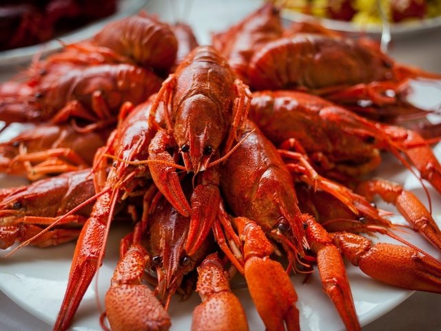 Обои усы, ресторан, тарелка, краб, морепродукты, раки, mustache, restaurant, plate, crab, seafood, cancers разрешение 1920x1200 Загрузить