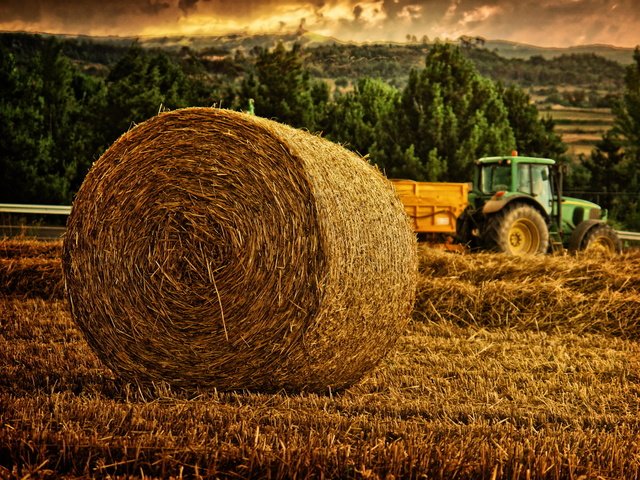 Обои деревья, природа, поле, сено, луг, трактор, сенокос, trees, nature, field, hay, meadow, tractor разрешение 2400x1600 Загрузить