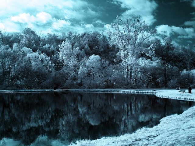 Обои озеро, природа, лес, пейзаж, lake, nature, forest, landscape разрешение 2560x1600 Загрузить