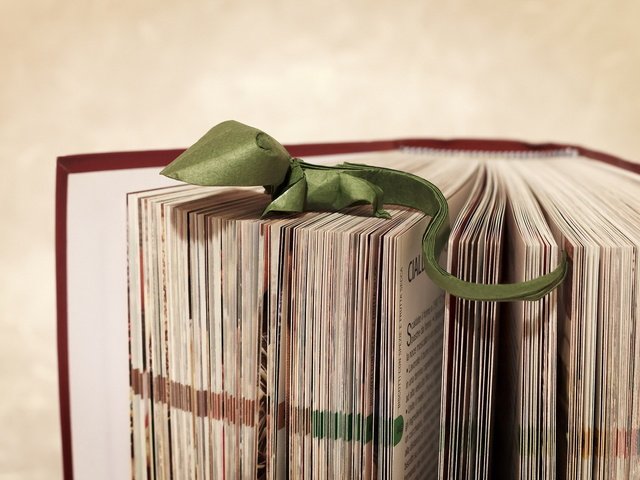 Обои фон, бумага, ящерица, оригами, зеленая, книга, переплет, страницы, background, paper, lizard, origami, green, book, cover, page разрешение 1920x1279 Загрузить