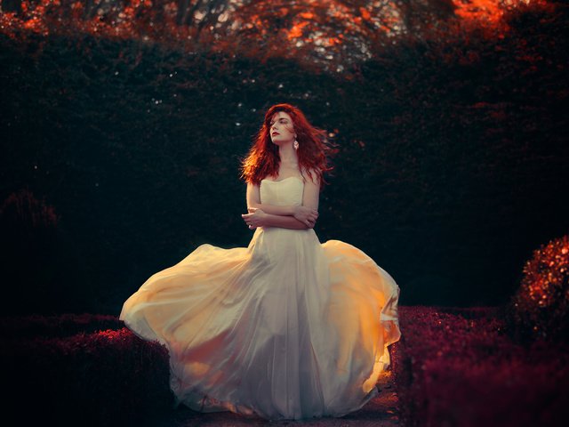 Обои природа, девушка, платье, осень, освещение, красные волосы, fanny moreaux, nature, girl, dress, autumn, lighting, red hair разрешение 6016x4016 Загрузить