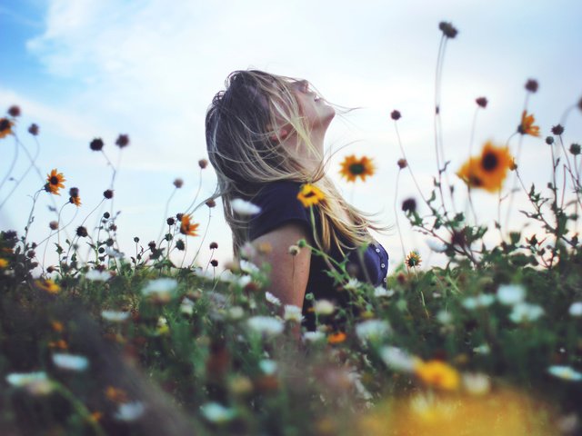 Обои цветы, девушка, блондинка, лето, flowers, girl, blonde, summer разрешение 5184x3878 Загрузить