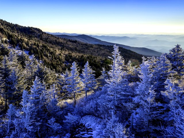 Обои деревья, горы, снег, зима, панорама, леса, trees, mountains, snow, winter, panorama, forest разрешение 2592x1728 Загрузить