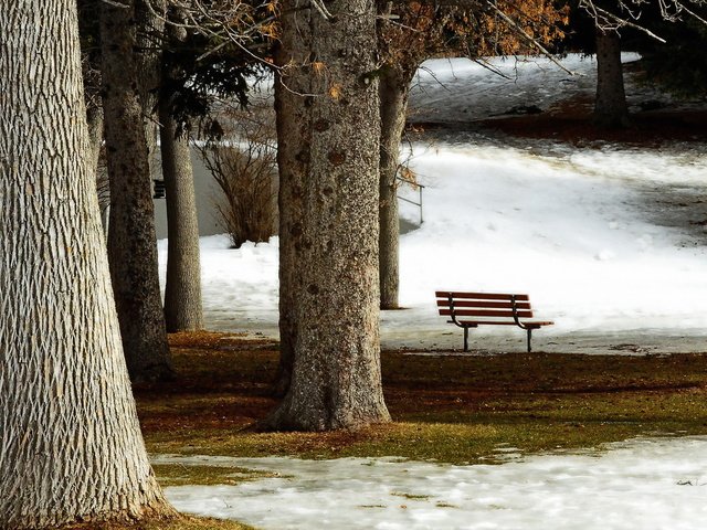 Обои парк, город, скамья, park, the city, bench разрешение 2050x1080 Загрузить