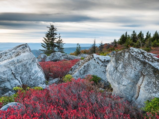 Обои горы, медвежьи скалы, mountains, bear rocks разрешение 1920x1080 Загрузить