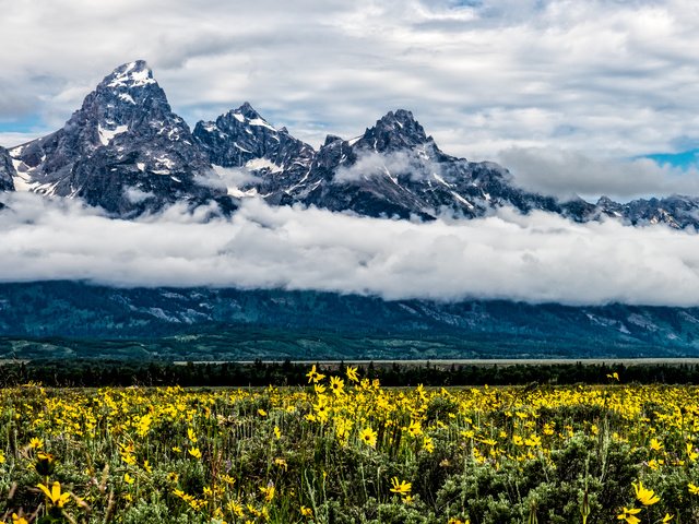 Обои цветы, облака, горы, flowers, clouds, mountains разрешение 2040x1360 Загрузить