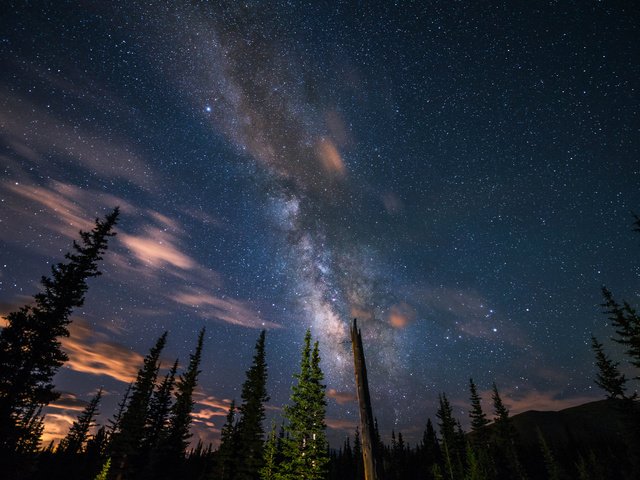 Обои небо, деревья, звезды, силуэты, млечный путь, the sky, trees, stars, silhouettes, the milky way разрешение 2048x1367 Загрузить