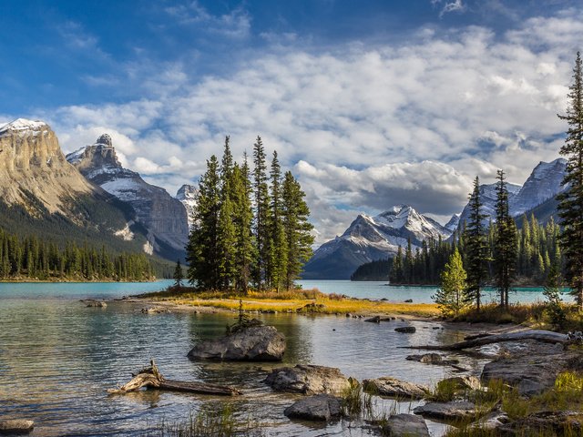 Обои деревья, озеро, пейзаж, национальный парк джаспер, maligne lake, trees, lake, landscape, jasper national park разрешение 3003x1805 Загрузить