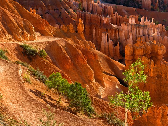 Обои деревья, горы, скалы, камни, каньон, trees, mountains, rocks, stones, canyon разрешение 2048x1365 Загрузить