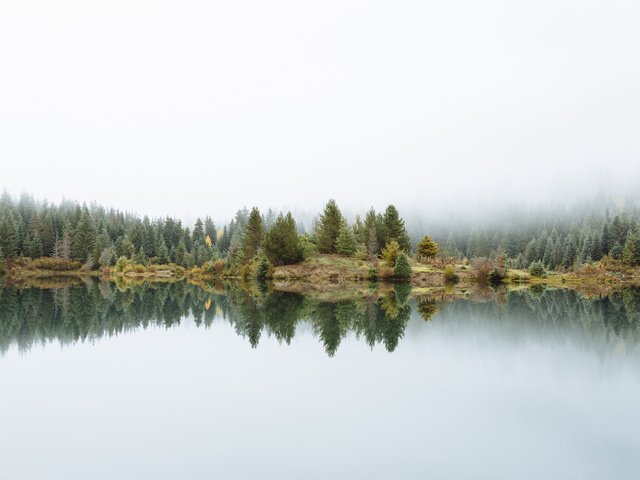 Обои деревья, озеро, природа, отражение, туман, trees, lake, nature, reflection, fog разрешение 2048x1152 Загрузить