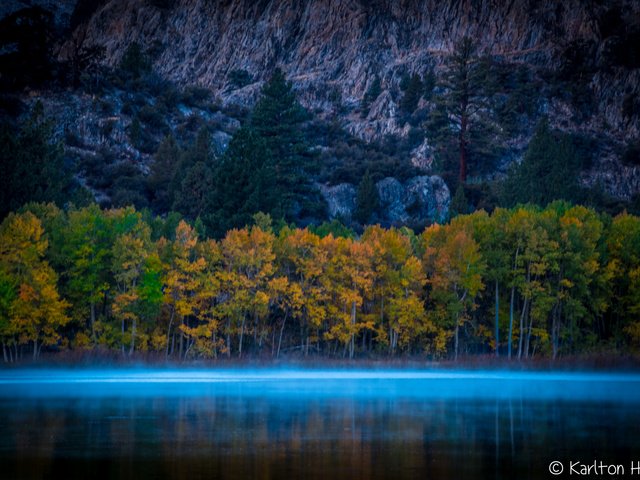 Обои деревья, осень, калифорния, тока, моно, соединенные штаты америки, trees, autumn, ca, current, mono, united states of america разрешение 2048x1367 Загрузить