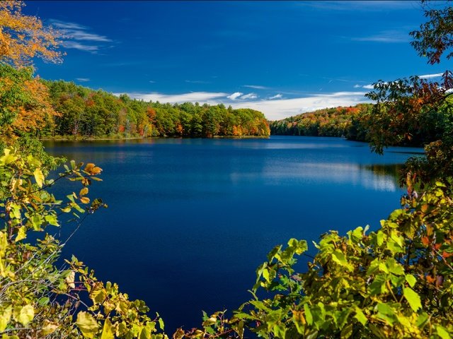 Обои нью - йорк, деревья, озеро, ветки, осень, штат нью-йорк, rockwood lake, adirondack park, озеро роквуд, парк адирондак, new york, trees, lake, branches, autumn, the state of new york, lake rockwood, the adirondack park разрешение 3579x2158 Загрузить