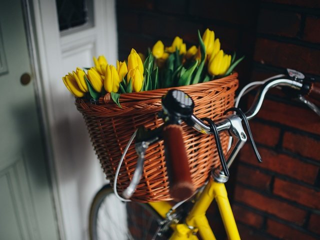 Обои цветы, корзина, тюльпаны, красивые, велосипед, flowers, basket, tulips, beautiful, bike разрешение 2880x1922 Загрузить