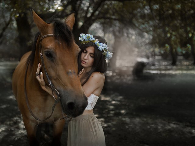 Обои лошадь, девушка, брюнетка, horse, girl, brunette разрешение 2048x1365 Загрузить