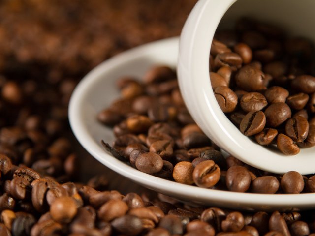 Обои зерна, кофе, блюдце, чашка, кофейные, grain, coffee, saucer, cup разрешение 2048x1365 Загрузить
