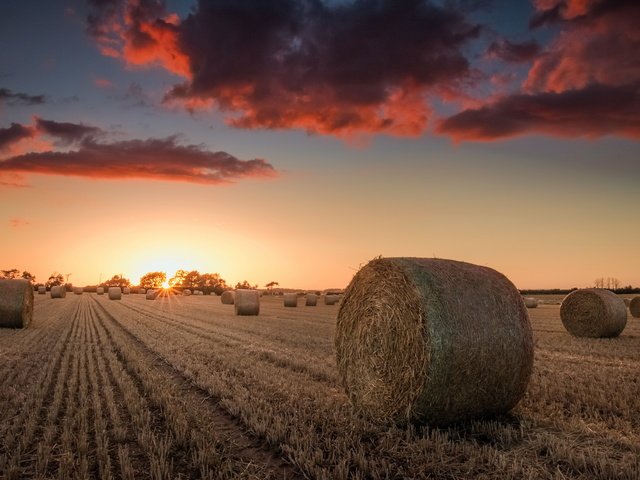 Обои небо, природа, закат, поле, сено, тюки, рулоны, the sky, nature, sunset, field, hay, bales, rolls разрешение 2560x1690 Загрузить